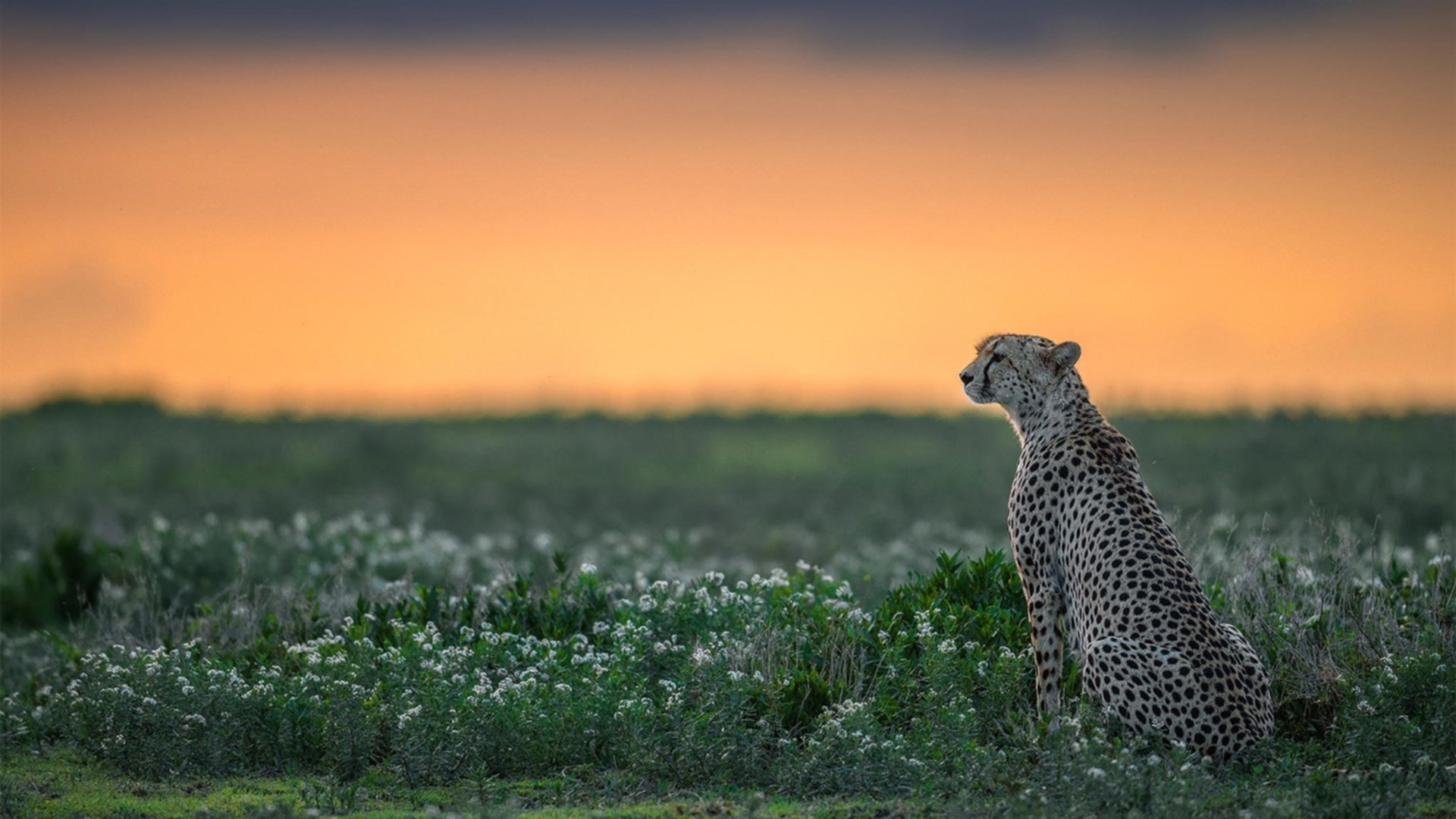 开云体育在线赛事直播-国家队梯队管理制度改革试点启动，梯队级别